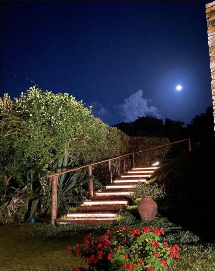 Hotel Oka Da Mata Praia de Pipa Exteriér fotografie